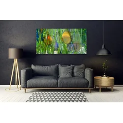 tulup.si Slika na akrilnem steklu Ribe, alg narava 140x70 cm 2 obešalnika