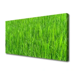 tulup.si Slika na platnu Narava green grass turf 100x50 cm