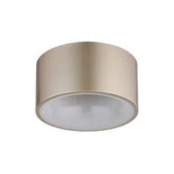 Globo 56964G - LED plafonsko svetlo RAYMOND LED/12W/230V pr. 15 cm 3000K mesing