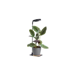 LED prigušiva stona lampa za uzgoj biljaka VERDI LED/5W/5V 1300K crna