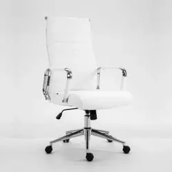 Radna fotelja prirodna koža M 301/lw ( 7169 )