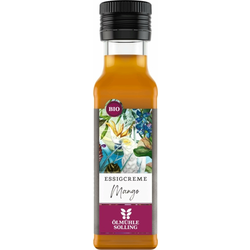Ölmühle Solling Bio balzamični kis z mangom - 100 ml