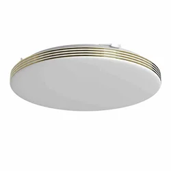 LED kupatilsko stropno svetlo BEVER LED/16W/230V 4000K O 33 cm IP44