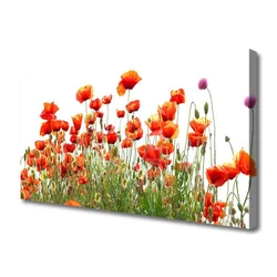 tulup.si Slika na platnu Rastlinskih mak naravi 100x50 cm