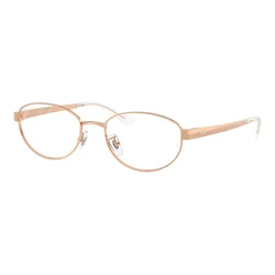 Ray-Ban RX3774VD 3094