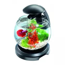 Tetra akvarijum Globe Black 6,8 l