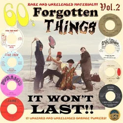 Various Artists - 60s Forgotten Things Vol. 2 - It Wont Last!! (LP)