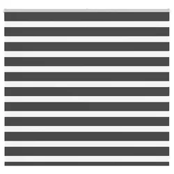 Zavjesa zebra crna 160x100 cm širina tkanine 155,9 cm poliester