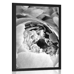 Plakat črnobeli cvetovi rože - 60x90 no frame
