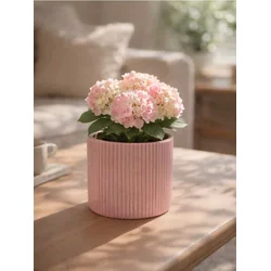 Sinsay - Keramička saksija sa rebrastom strukturom - pastelno roze