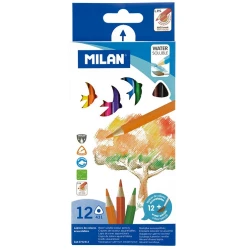 Drvene boje 12/1 milan water soluble 0742312