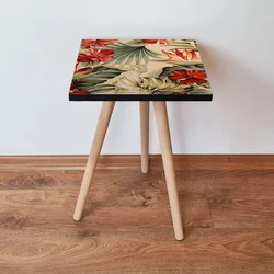 Hanah Home Klub sto Shp205, 35x42x35 cm, Šareni