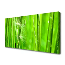 tulup.si Slika na platnu Grass nature rastlin 100x50 cm