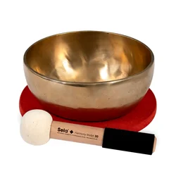 Tibetanska posoda Harmony 22 SE264
