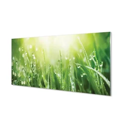 tulup.si Slika na steklu Grass sonce kapljice 120x60 cm 2 obešalnika
