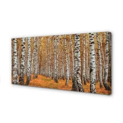 tulup.si Slika na platnu Jesen drevje 100x50 cm