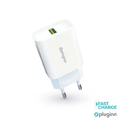 Kućni punjač Pluginn PI-D48/ 5V/ 2.4A/ 12W sa Type C kablom beli CE
