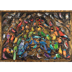 Ravensburger Puzzle Ptice sveta 1000 kosov