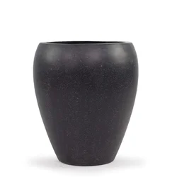 H0131 -