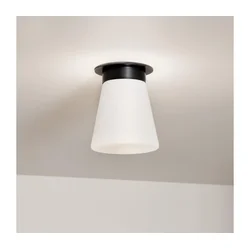 Kichler KL-ALBERS-F-T-BK-Plafonsko svetlo ALBERS 1xE27/40W/230V prečnik 21,6 cm crna