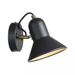 Zidno usmereno svetlo ASTAMA 1xE27/40W/230V crna/mesing