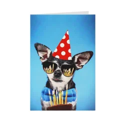 DEXY CO ČESTITKA HAPPY BIRTHDAY DOG