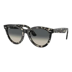 Ray-Ban Wayfarer Way Naočare za sunce RB 2241 133371