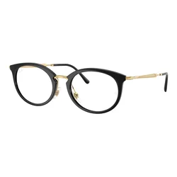 Ray-Ban RX7255 2000