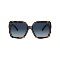 Tiffany Naočare za sunce TF 4206U 80154U
