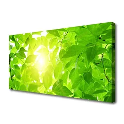tulup.si Slika na platnu Listi narava rastlin pred soncem 125x50 cm