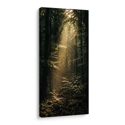 Slika tih gozd v jutranjem siju - 40x80