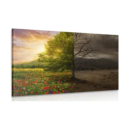 Slika dve podobi drevesa - 90x60