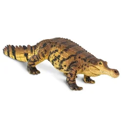 Safari Sarcosuchus dinozaver