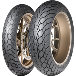 Dunlop Mutant ( 160/60 ZR17 TL (69W) zadnji točak, M+S karakteristika )