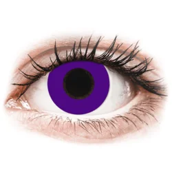 CRAZY LENS - Solid Violet - dnevne leče z dioptrijo