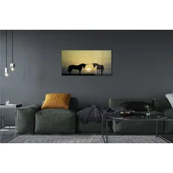 tulup.si Steklena slika Field sunset samorogi 100x50 cm 2 obešalnika