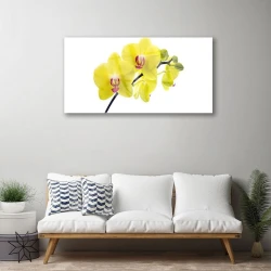 tulup.si Slika na steklu Cvetovi rastlin narava 100x50 cm 4 obešalnika