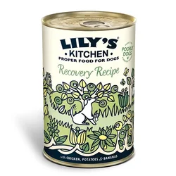 Lily`s Kitchen | Recovery Recipe