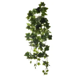Lozica velika hedera duzina - 110cm sirina - 50cm