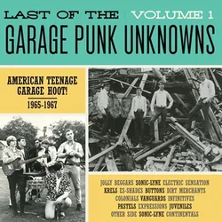 Various Artists - Last Of The Garage Punk Unknowns Volume 1 (LP)