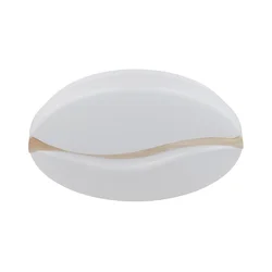 Globo 41790-20 - LED stropno svetlo LETICIA LED/24W/230V, prečnik 39 cm
