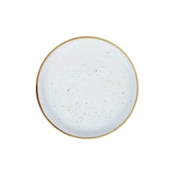 Homestar Plošča SENSA 20 cm
