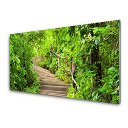 tulup.si Slika na akrilnem steklu Stopnice narava 140x70 cm 2 obešalnika