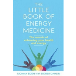 Little Book of Energy Medicine