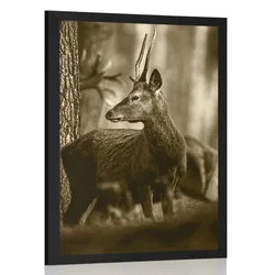 Plakat jelen v borovem gozdu v sepia varianti - 40x60 no frame