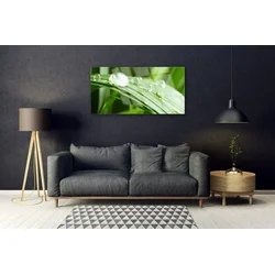 tulup.si Steklena slika Leaf dew drops 100x50 cm 4 obešalnika