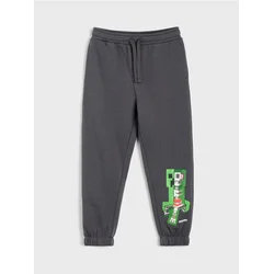 Sinsay - Obele jogger pantalone Minecraft - tamno siva