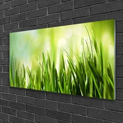 tulup.si Steklena slika Trava narava 100x50 cm 2 obešalnika