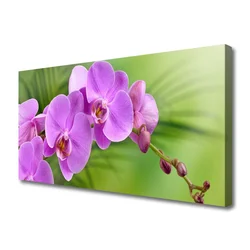 tulup.si Slika na platnu Orhideja orhideje 125x50 cm