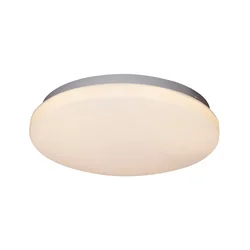 GLOBO 41003-20 - LED plafonsko svetlo TARUG LED/20W/230V